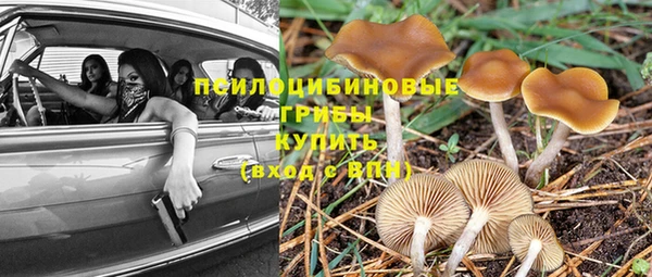 не бодяженный Белокуриха