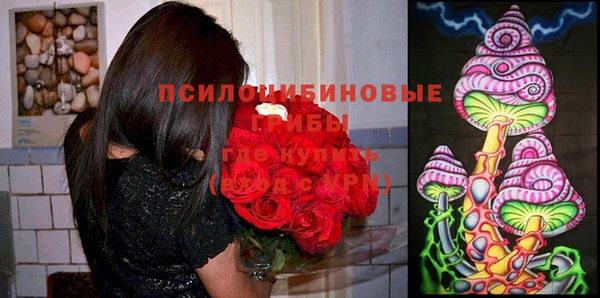 не бодяженный Белокуриха