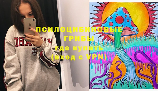 PSILOCYBIN Беломорск
